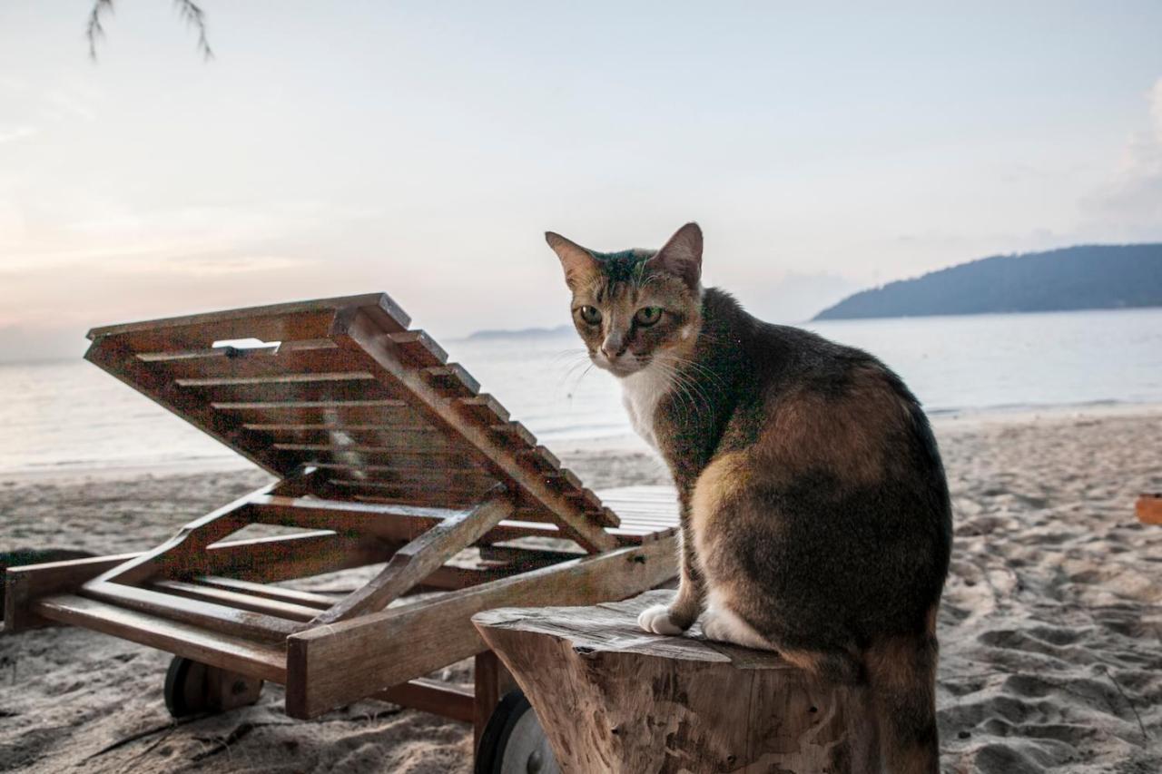 Swiss Cottage Tioman Kampong Ayer Batang Εξωτερικό φωτογραφία
