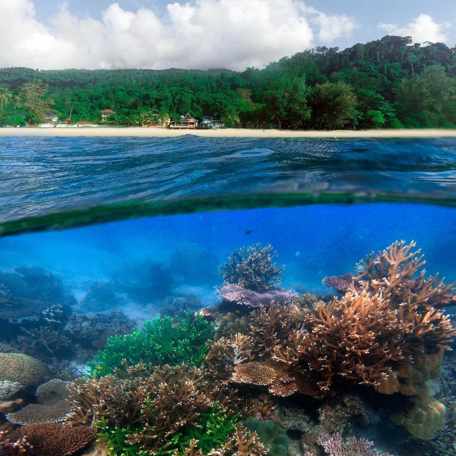 Swiss Cottage Tioman Kampong Ayer Batang Εξωτερικό φωτογραφία