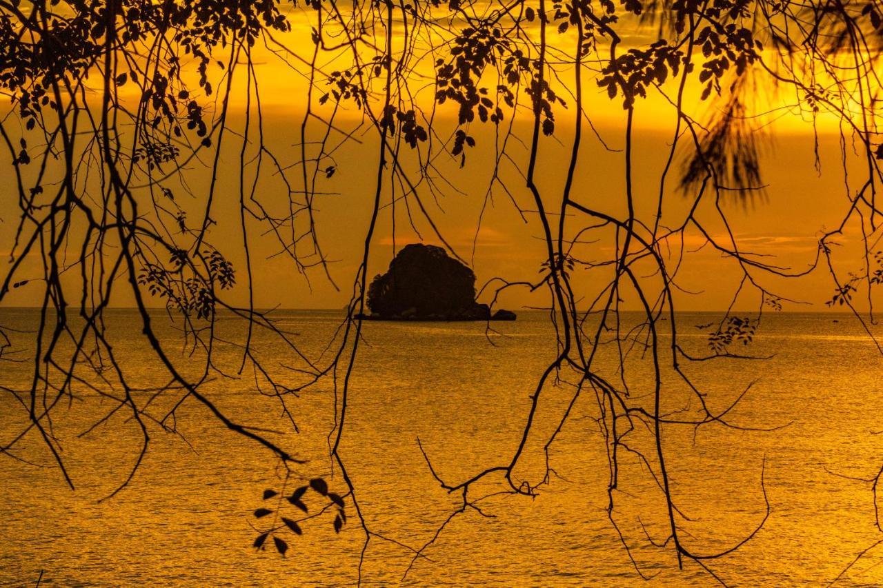 Swiss Cottage Tioman Kampong Ayer Batang Εξωτερικό φωτογραφία